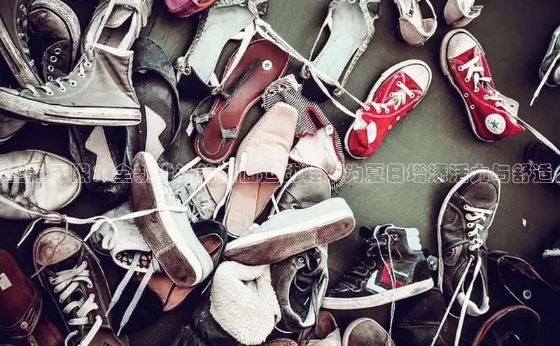 7790必发集团官网入口